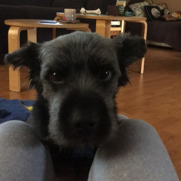 Meet your Posher, Ellen - Picture 1 of 1